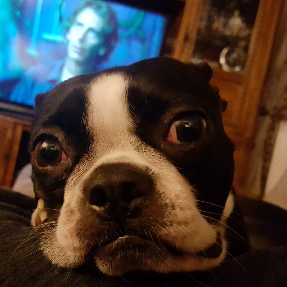 Meet your Posher, Peggy